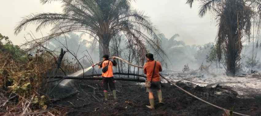 Kebun Sawit Warga Rupat Terbakar, BPBD Bengkalis 'Gercep' Lakukan Pemadaman