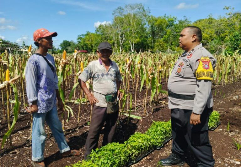 Dukung Swasembada Pangan Nasional, Polsek Bantan Konsisten Beri Pendampingan Kepada Warga Desa Sukamaju