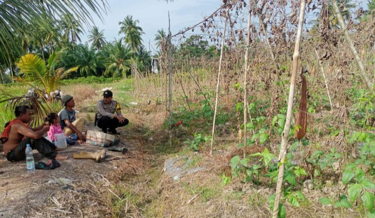 Dukung Ketahanan Pangan, Babinkamtibmas Polsek Bantan Beri Pendampingan Kepada Petani